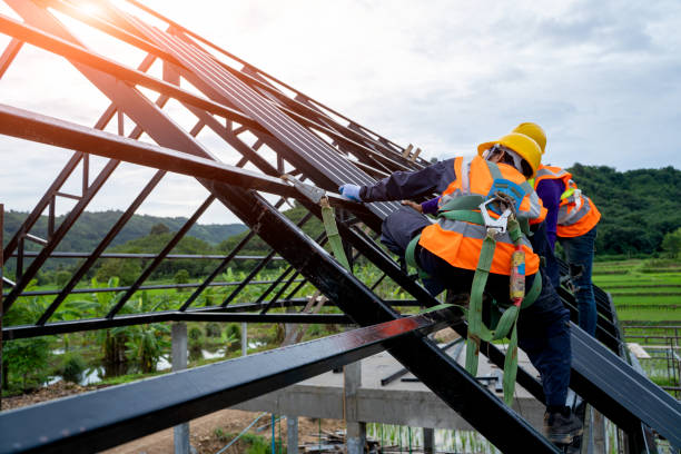 Best Roof Maintenance Services  in Linden, AZ