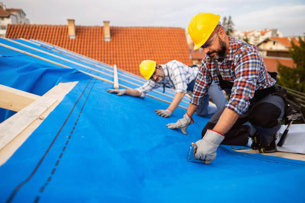 Best Residential Roof Replacement  in Linden, AZ