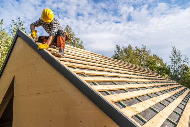 Best Flat Roof Repair Services  in Linden, AZ