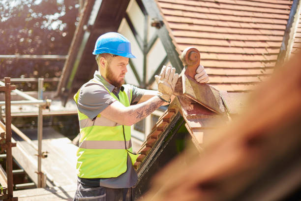 Best New Roof Installation  in Linden, AZ