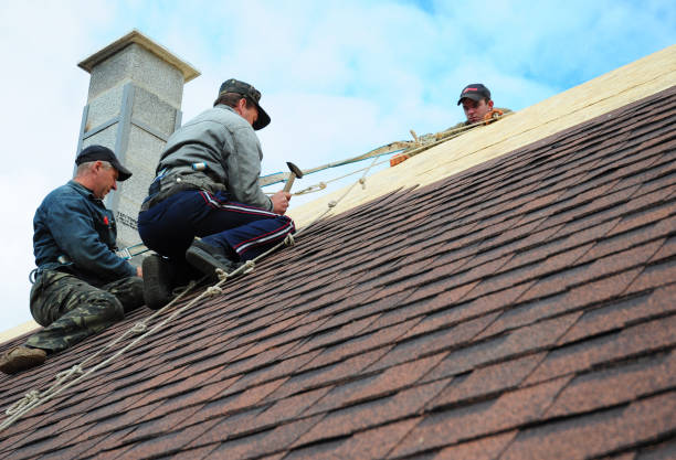 Best Best Roofing Contractors  in Linden, AZ
